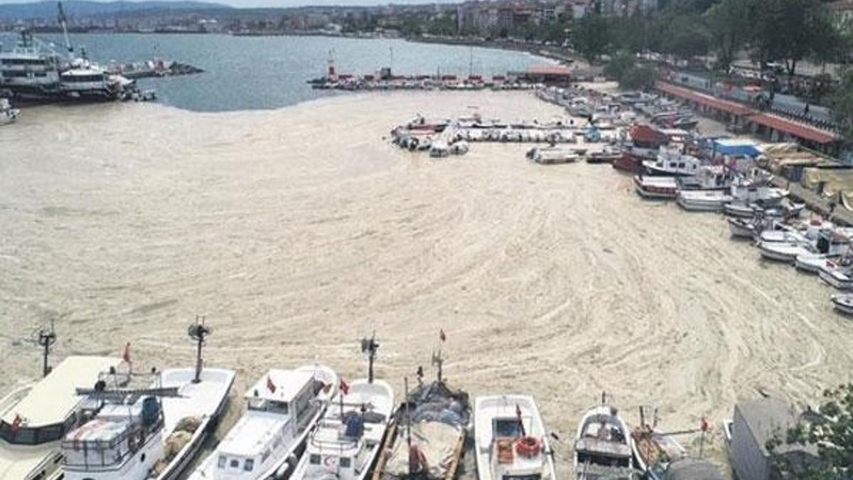 Musilaj deniz dibinde yatıyor! Korkutan uyarı geldi: Kasım ayında tekrarlayabilir...