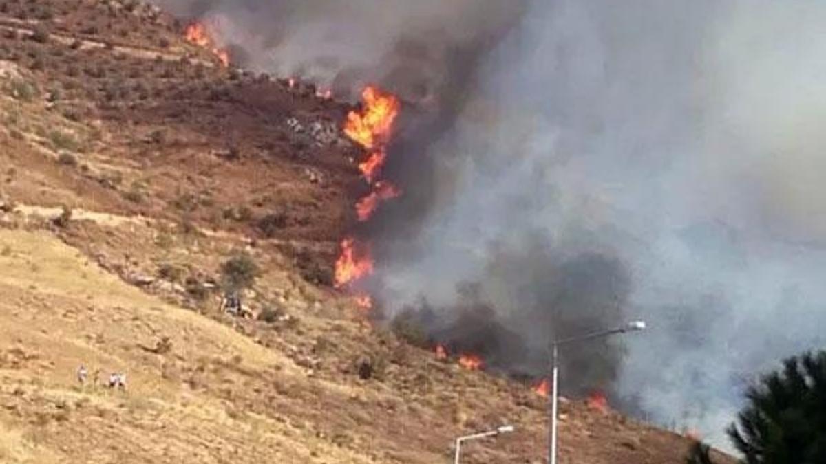 İzmir'de orman yangını