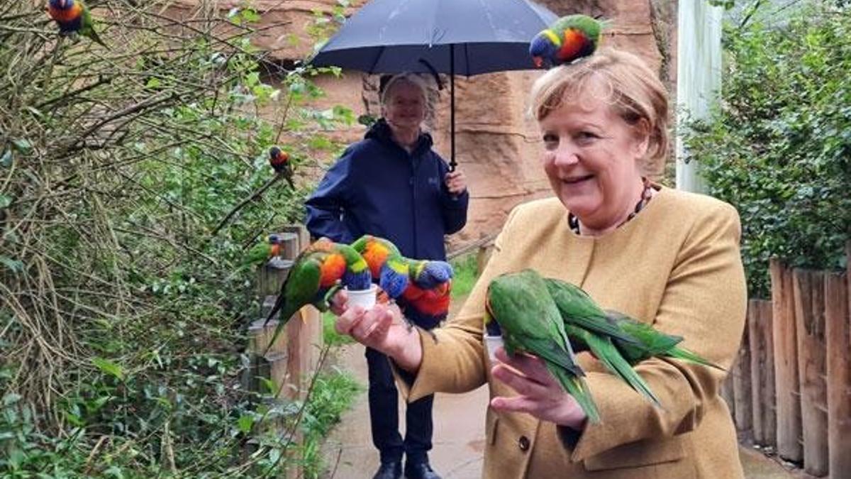 Almanya Başbakanı Angela Merkel'in veda turunda zor anları