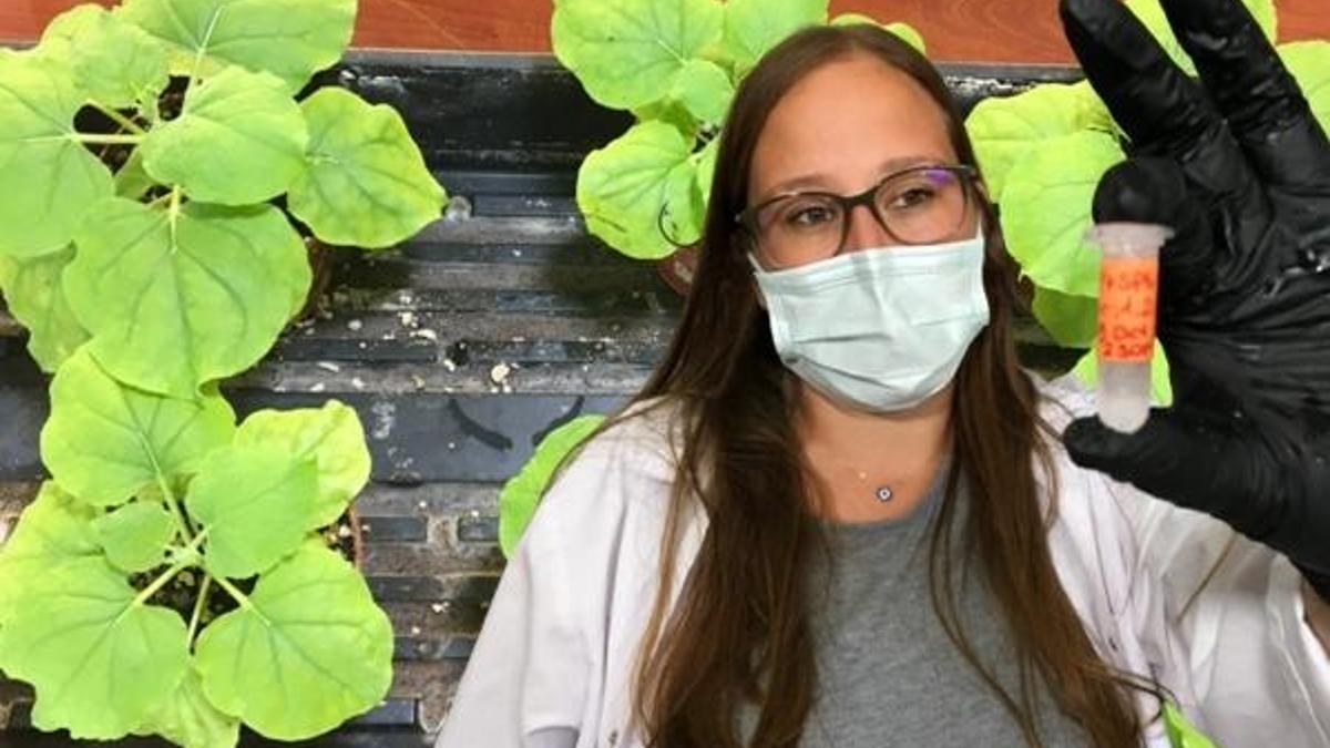 Kokteyl koronavirüs aşısında kritik gelişme! Çocuklarda da kullanılabilecek