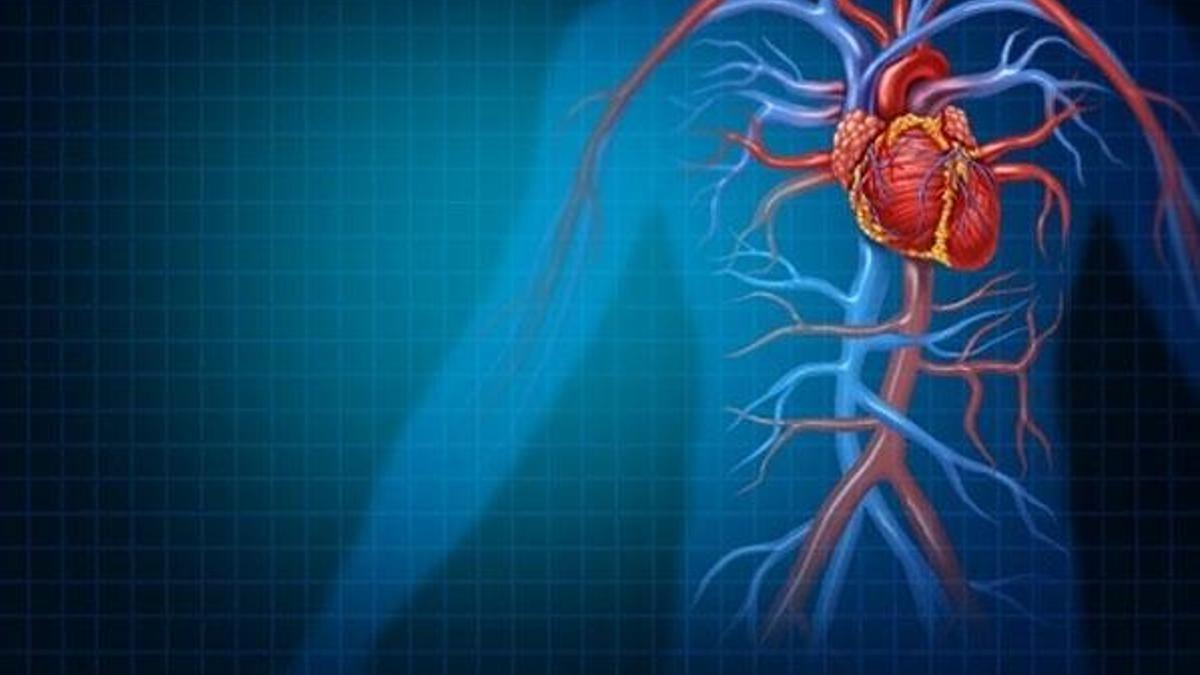 Kalp damar hastalıkları kadınlarda daha sessiz ilerliyor