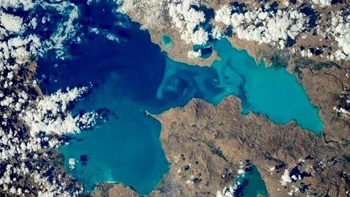 Tedirgin eden açıklama: Yeryüzünden tamamen yok oldu