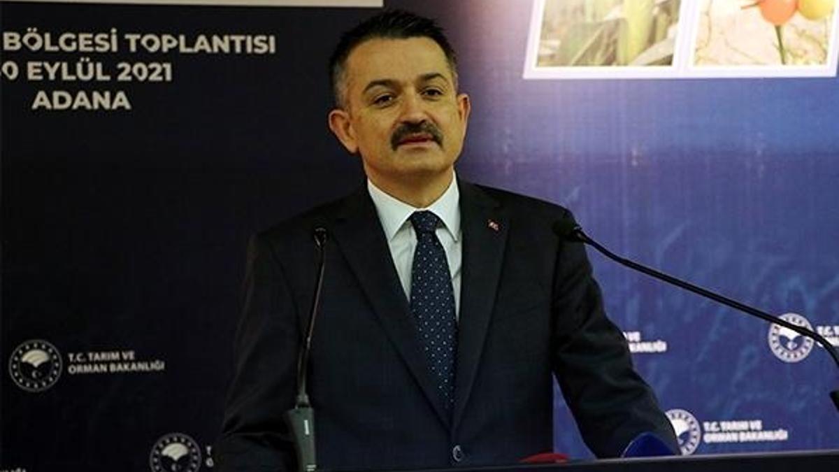 Bakan Pakdemirli: Doğal kaynakları verimli kullanmak zorunluluk haline gelmiştir