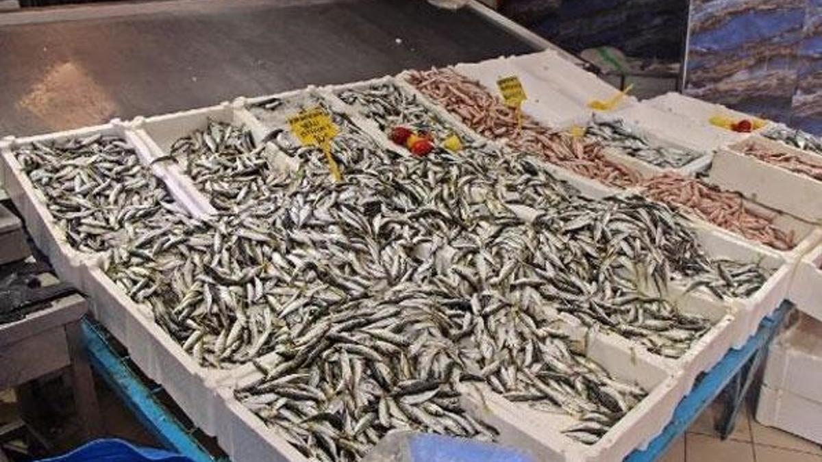 Tezgahlar doldu taştı! Kilosu 10 lira