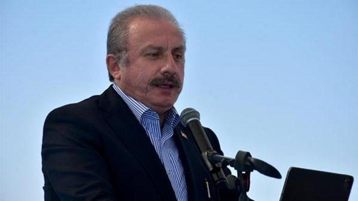 Şentop: Bir canı sahiplendiğinizde sorumluluğun bilincinde olun