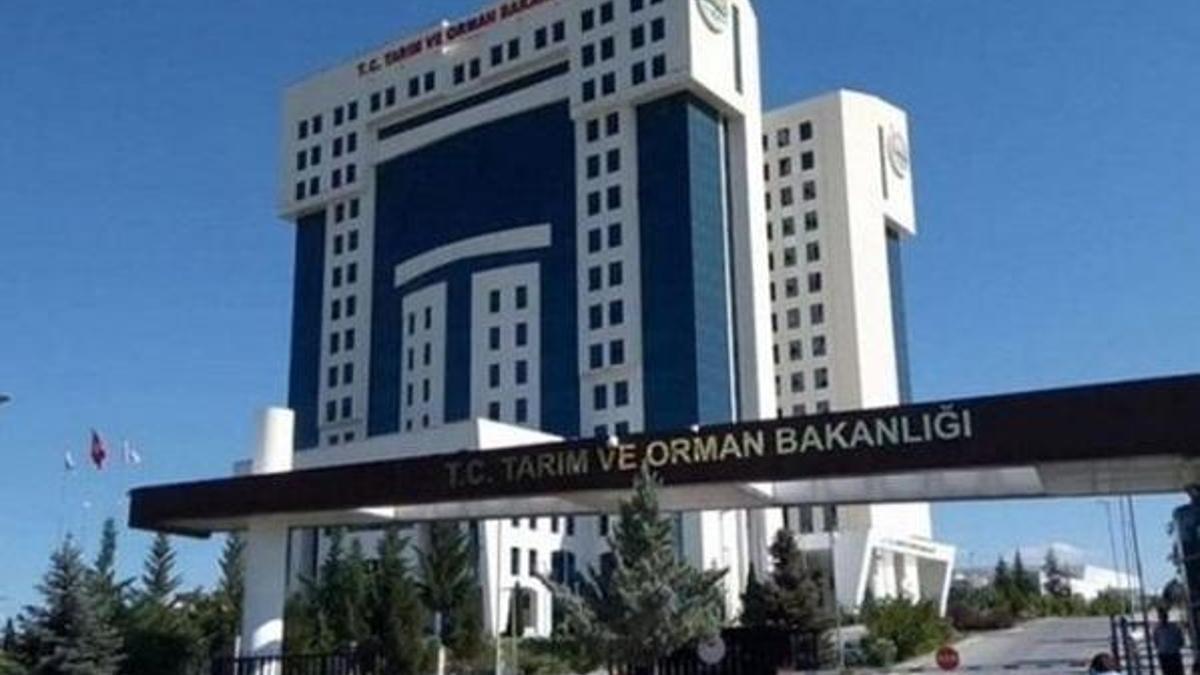 Tarım Bakanlığı kura sonuçları listesi sorgulama: Tarım ve Orman Bakanlığı personel alımı 2021 kura sonuçları nereden sorgulanacak?