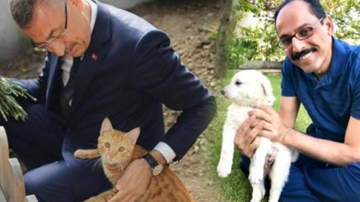 Siyasilerden 'Hayvanları Koruma Günü' paylaşımları