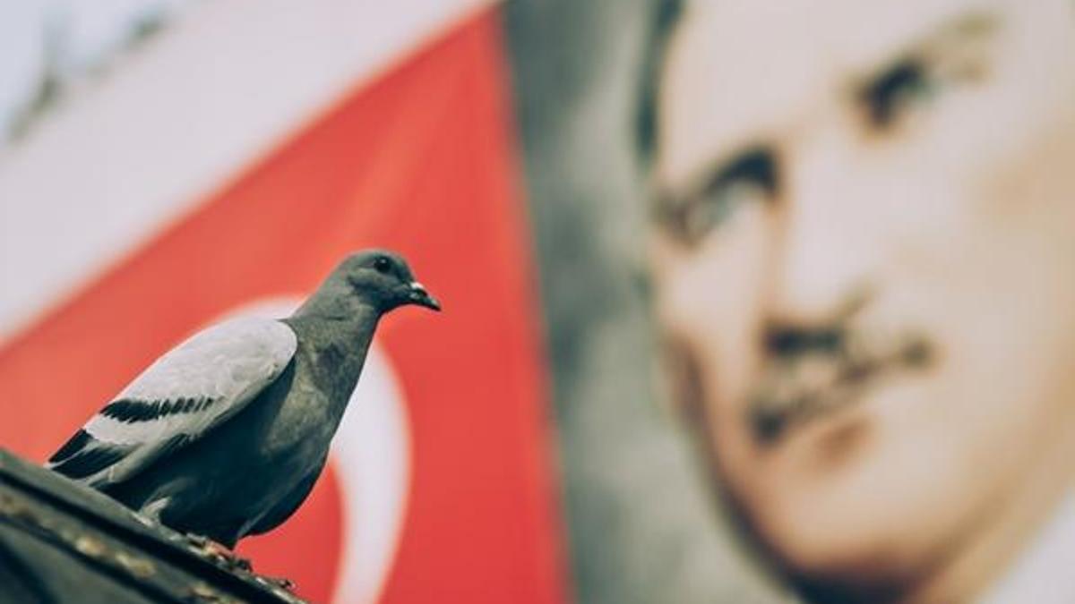 29 Ekim şiirleri: 2, 3, 4 kıtalık kısa 29 Ekim Cumhuriyet Bayramı en güzel şiirleri ile Cumhuriyet şiirleri burada!