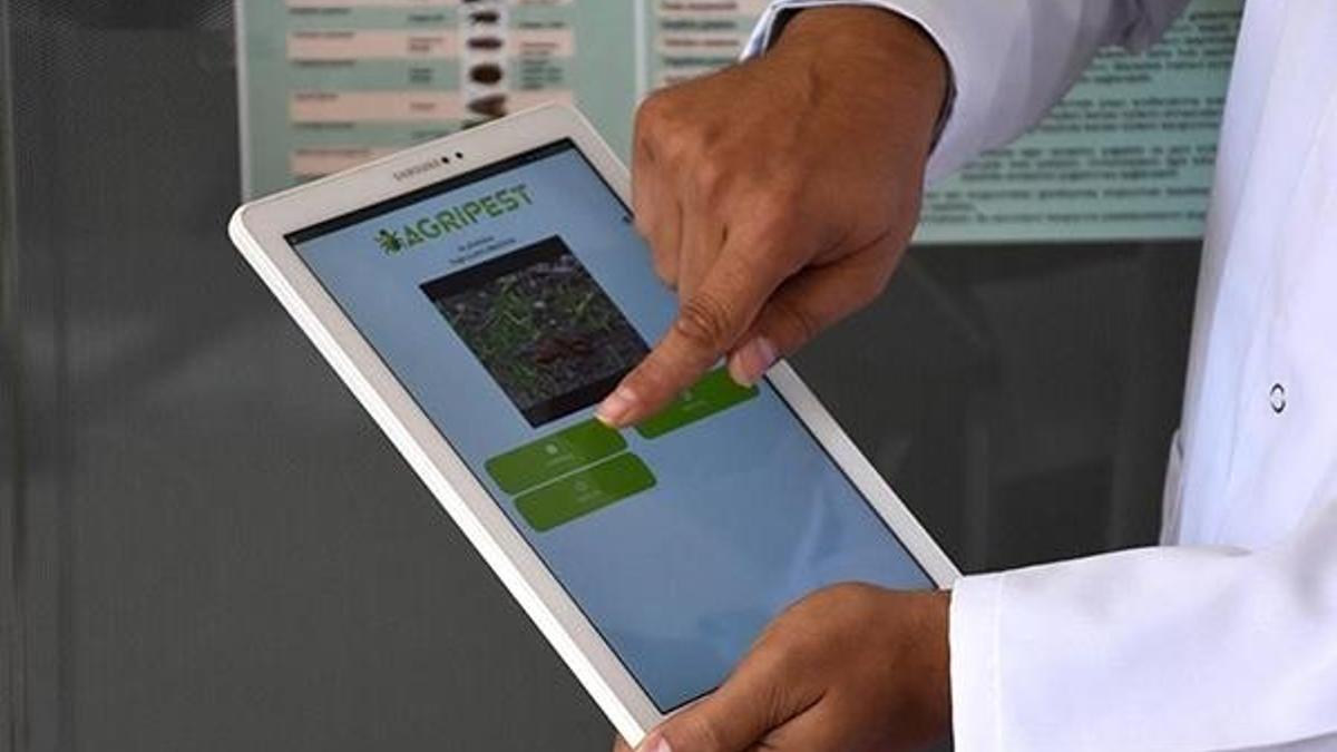 Meslek lisesinde geliştirildi: Tarım zararlılarını tespit ediyor