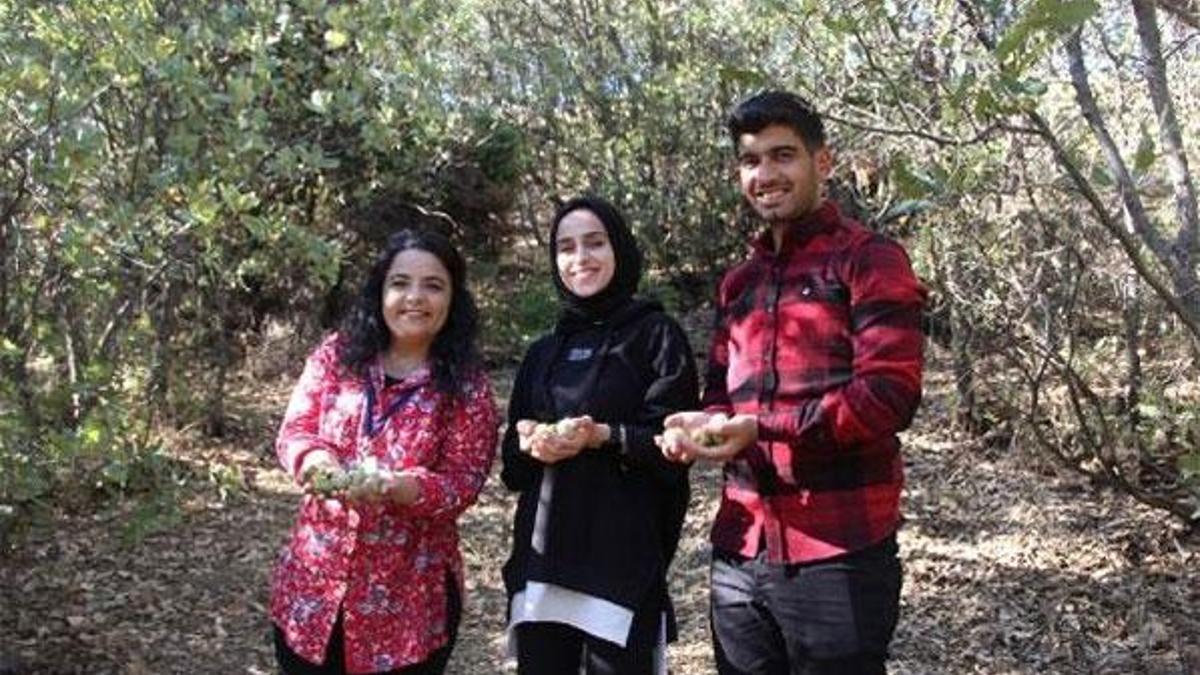 Yanan ormanlar için seferber oldular