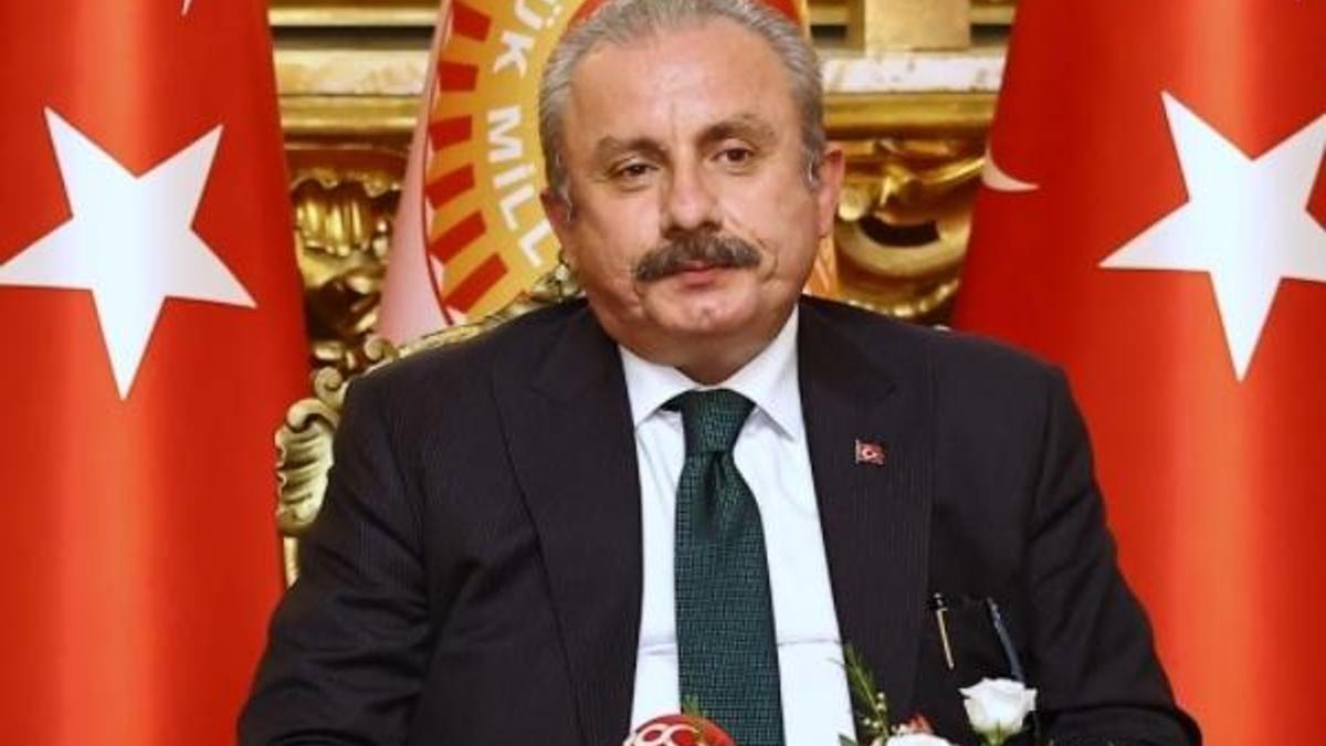 Şentop: Türkiye ve İtalya iş birliği içinde çalışma iradelerini G20'ye de taşımalıdır