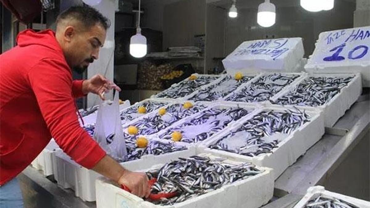 Fiyatlar düştükçe düştü! 10 liradan satışta
