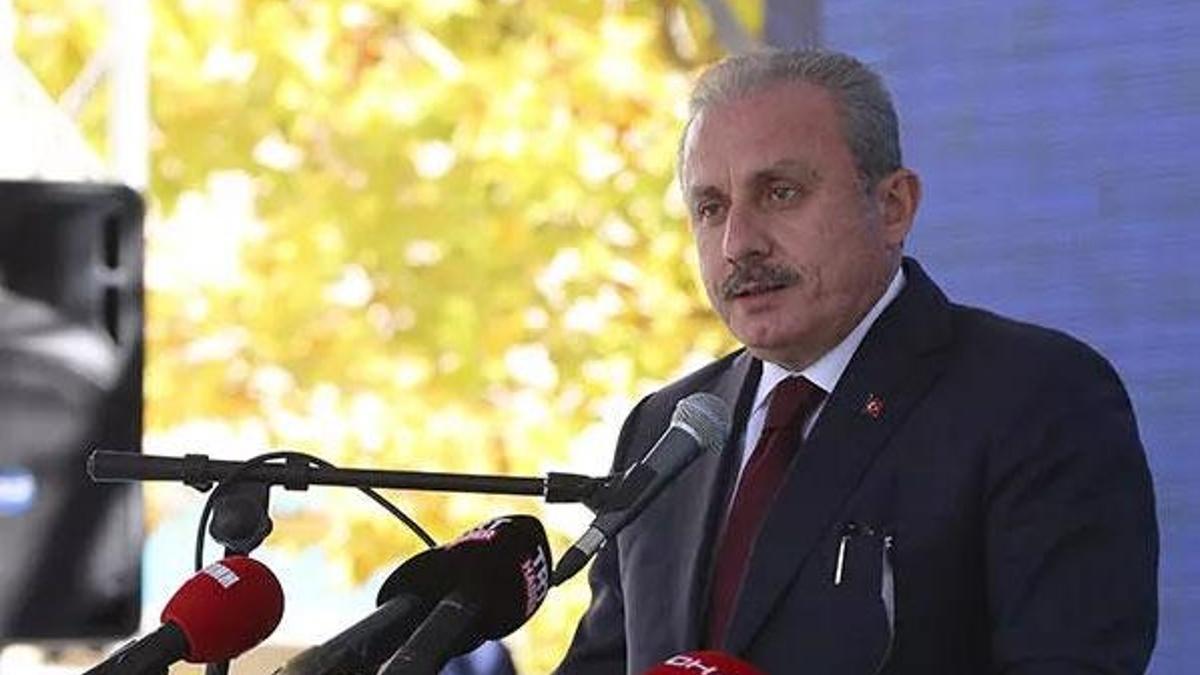 TBMM Başkanı Şentop'tan 'güçlendirilmiş parlamenter sistem' açıklaması