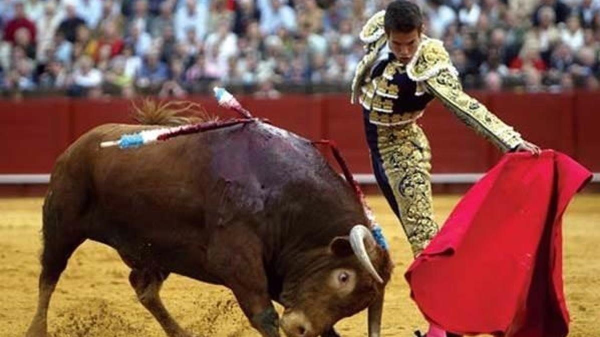 Portekiz'de 16 yaş altının boğa güreşlerini arenada izlemesi yasaklandı
