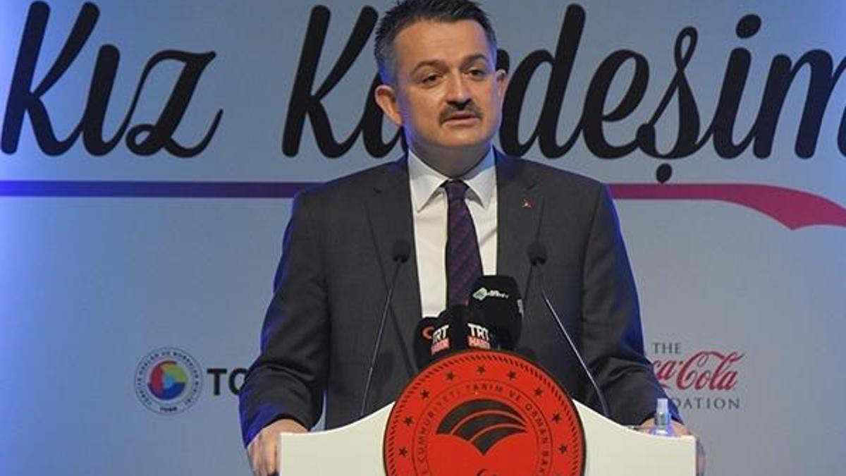 'Kadınlarımız artık girişimci, iş veren, istihdam sağlayan konumuna gelmiştir'