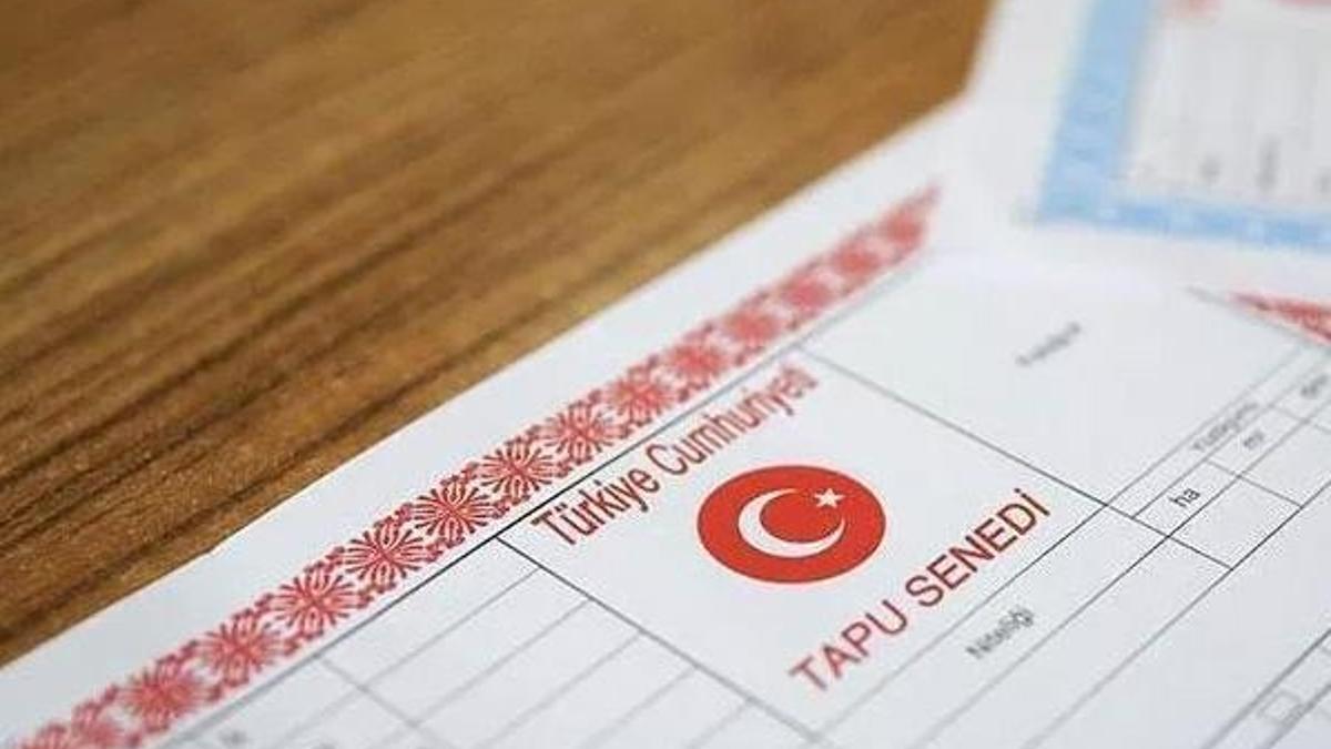Tapu Kadastro Genel Müdürlüğü sözleşmeli personel alımı! TKGM personel alımı şartları...
