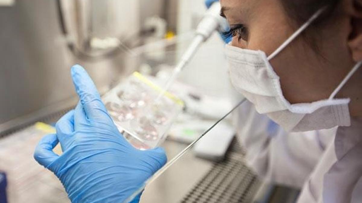 Tüp bebek tedavisi öncesi hangi testler yaptırılmalıdır?