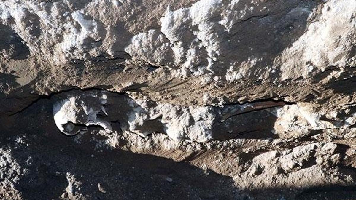 Kayseri'de bulundu! Mahallede doğal gaz çalışması yaparken...