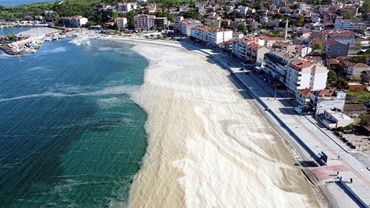 Uzmanlar uyarıyor! Marmara'da büyük tehlike!