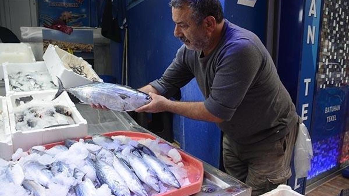 Bilinçsizce avlanma palamutu bitirdi!