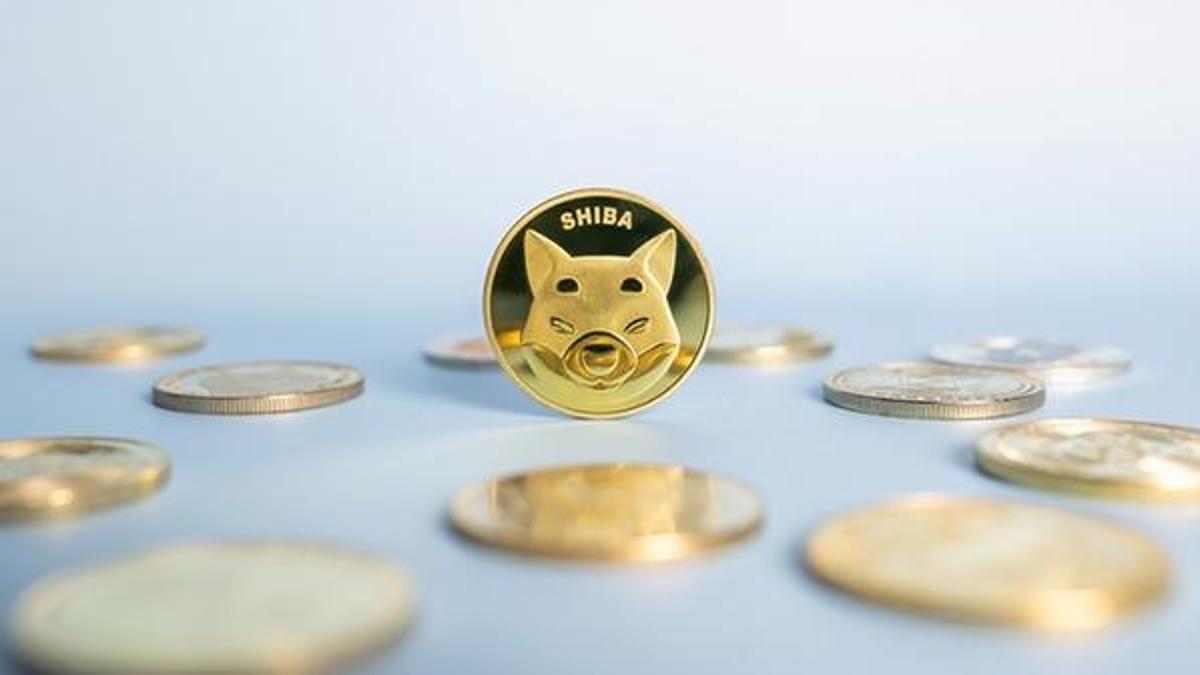 Shiba ne kadar oldu? Shiba kaç dolar? Shiba Inu'de rekor!