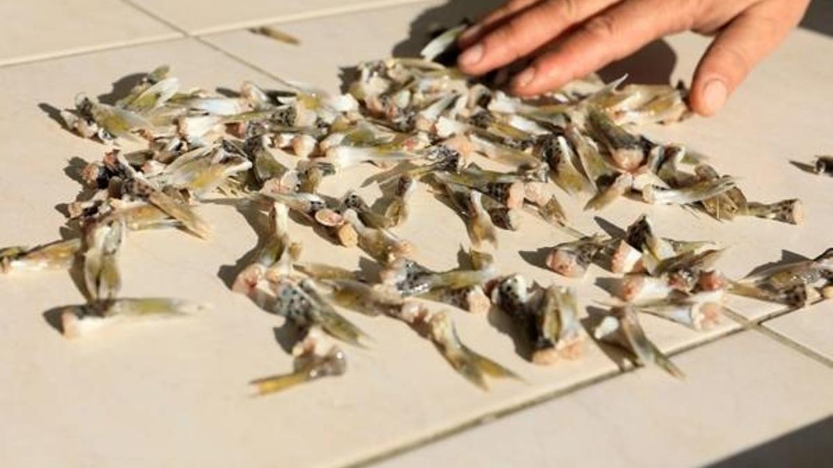 Para veriliyor! Şartlar değişti, 23 bin lira...