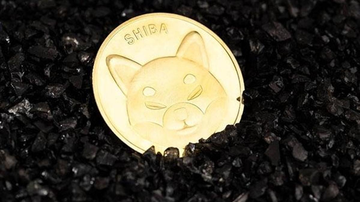 Shiba coin ne kadar oldu? Shiba coin kaç dolar?
