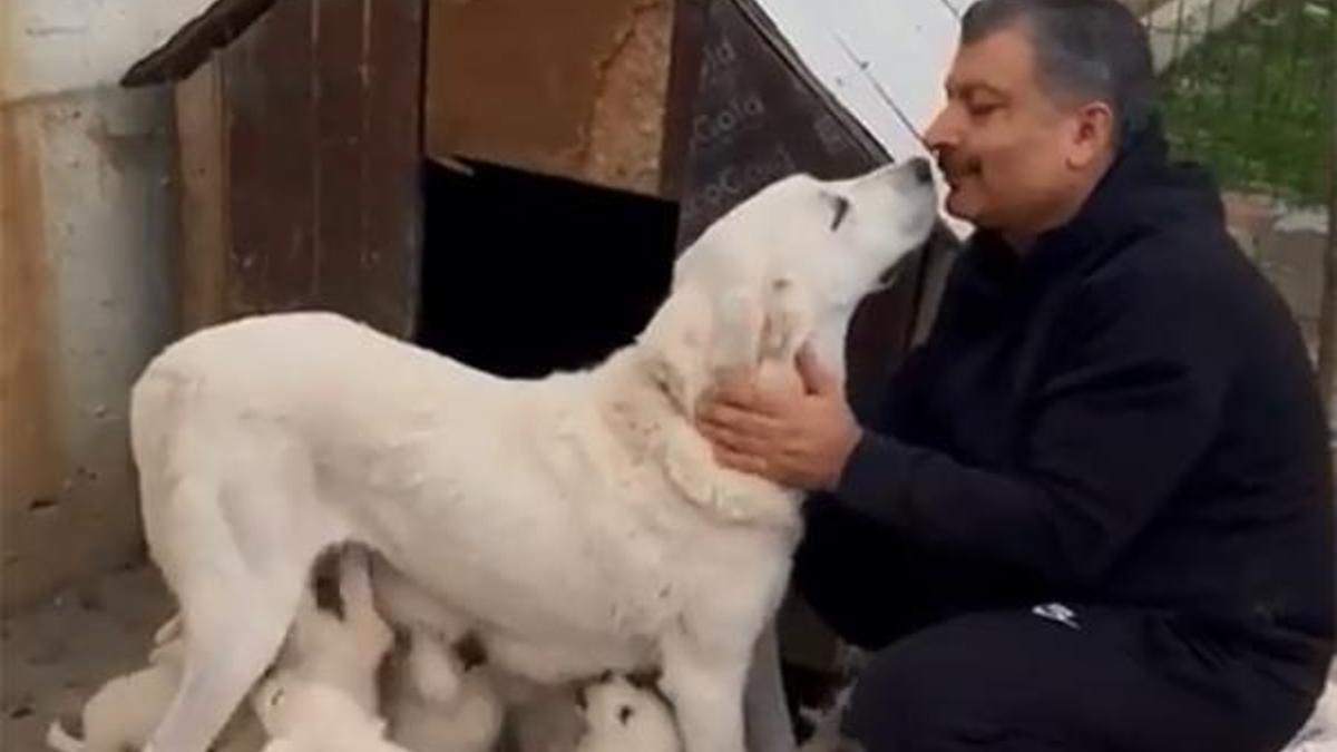 Bakan Koca'dan yürekleri ısıtan paylaşım!