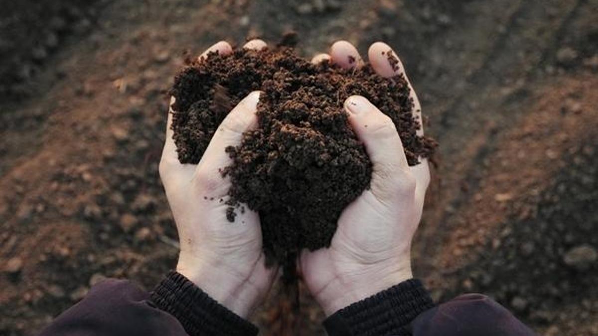 Gübre desteği ne kadar oldu? Gübre fiyatları açıklaması…