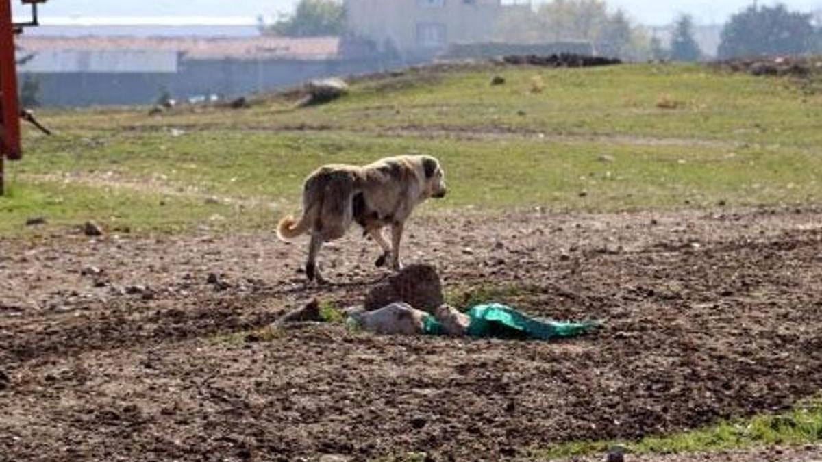 Bir ilde alarm! Karantinaya alındı