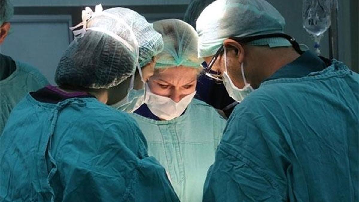 5 binin üzerinde organ nakli yapıldı