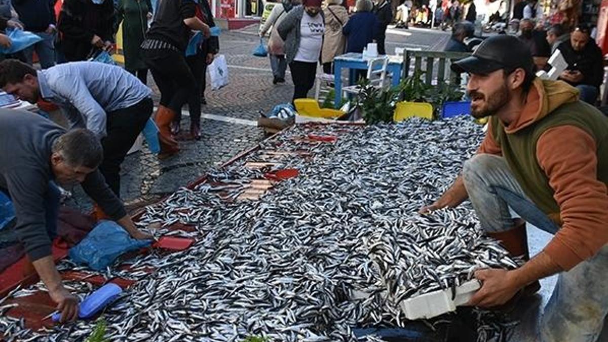 Kilosunun fiyatı 5 TL'ye düştü! Kasalarla aldılar...