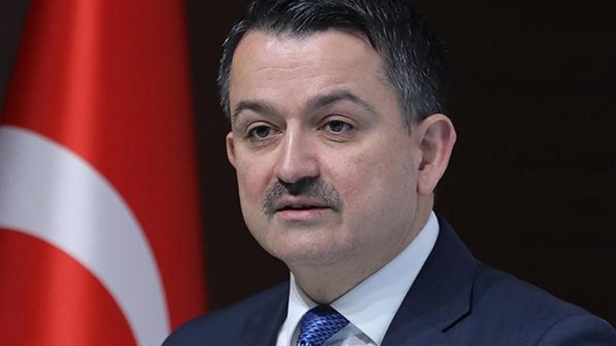 Paralar bugün banka hesaplarına yatırılacak! Binlerce kişi bekliyordu