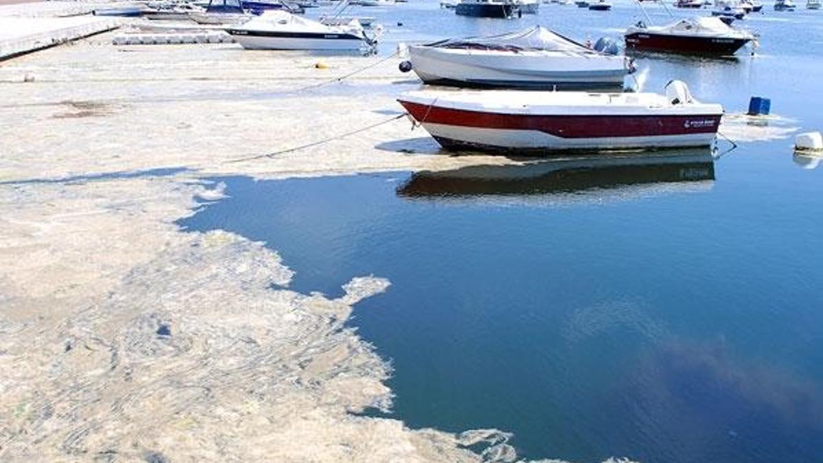Marmara Denizi, 'Özel Çevre Koruma Bölgesi' ilan edildi