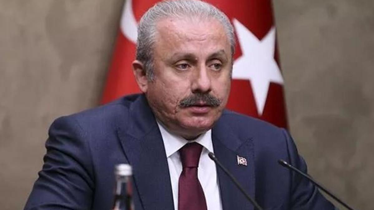 TBMM Başkanı Şentop: Tarihimize hakaret edilmesine asla müsaade etmeyiz