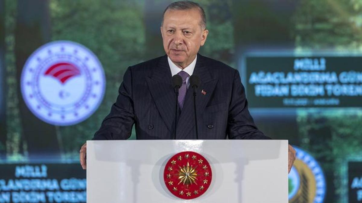 Cumhurbaşkanı Erdoğan: Türkiye, ağaçlandırma çalışmalarında Avrupa'da birinci sırada