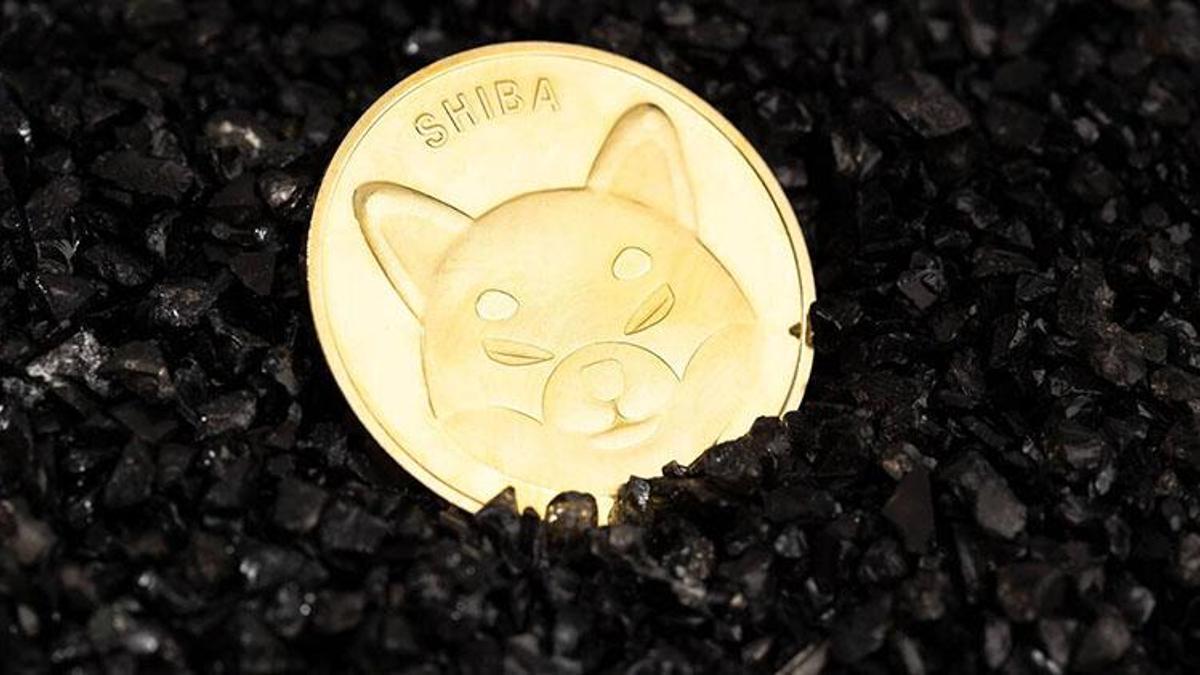 Shiba coin yakımı ne zaman? Shiba coin ne zaman çıktı?
