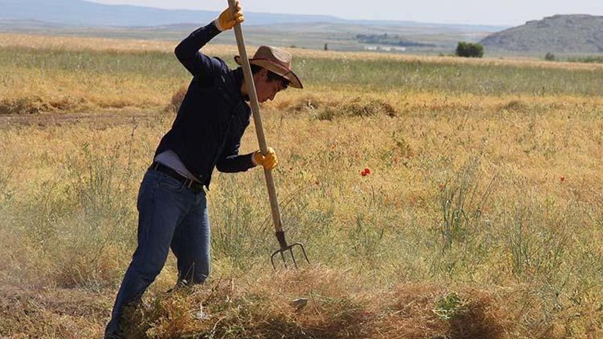 Çiftçilere destek ödemesi son dakika! Çiftçi destek ödemeleri ne zaman yatacak? 2021 çiftçi destekleme ödemesi sorgulama