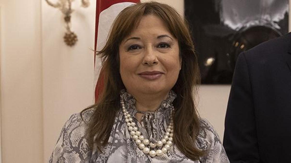 UNESCO Türkiye Daimi Temsilciliğine Gülnur Aybet atandı
