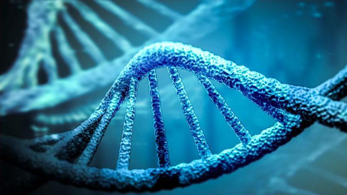 Dünyaca ünlü dergi Immunogenetics dünyaya duyurdu: Türkler buldu...