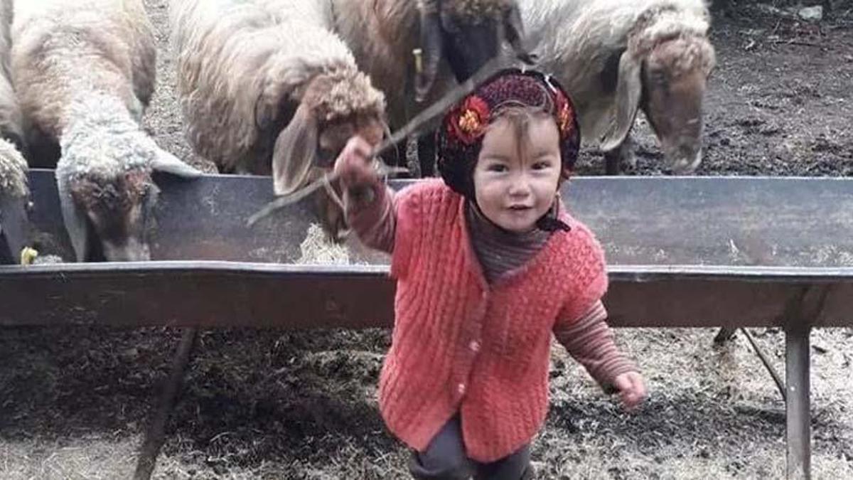 Müslüme’yi kim öldürdü? Müslüme’nin ölüm nedeni ne, katili kim? Müslüme'nin dedesi tutuklandı!