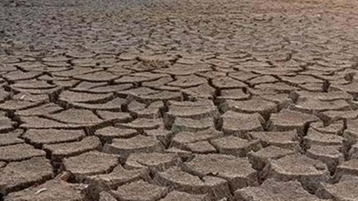 Çiftçiye kuraklık desteği ne zaman verilecek 2021? Kuraklık desteği kimlere, hangi illere verilecek, şartları ne? Kuraklık desteği Resmi Gazete’de yayımlandı!