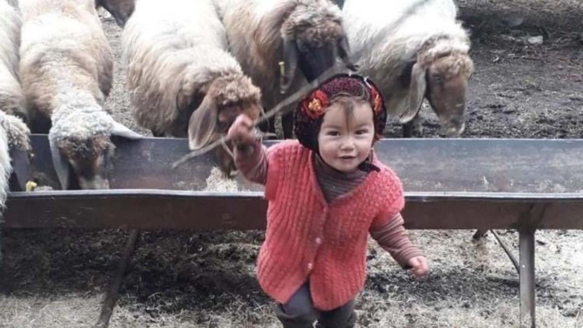 Müslüme Yağal ölüm sebebi ne, Müslüme'nin dedesi neden tutuklandı? Anne Selvi Yağal'dan son açıklama!