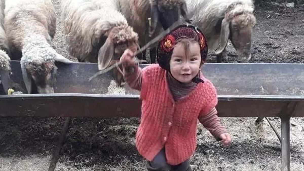 Müslüme ile ilgili flaş açıklama! Mersin Barosu suç duyurusunda bulunacak