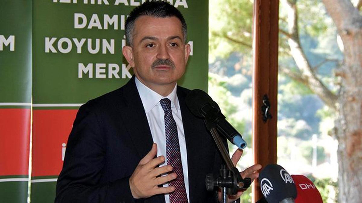 Bakan Pakdemirli: Türkiye küçükbaş varlığında Avrupa'da 1'inci sırada