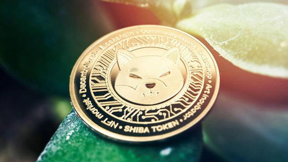 Shiba Inu'de hareketlilik! Shiba neden yükseliyor?