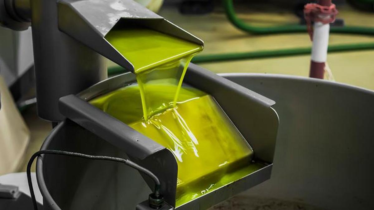 Zeytinyağı fiyatları ile ilgili flaş açıklama! Yükseldi...