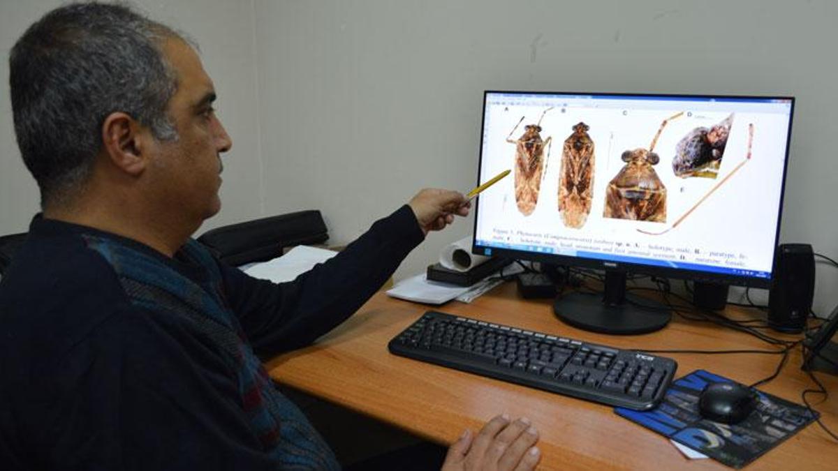 Mardin'de yeni tür keşfedildi! Böceğe eski bakanın adını verdiler...