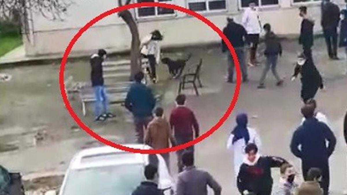 Okulda pitbull dehşeti! Beyzbol sopalı öğretmenden skandal hareket