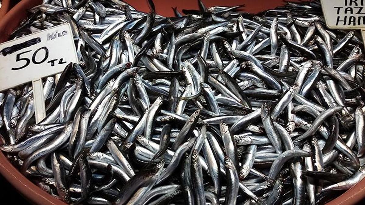 Zam geldi! Hamsinin kilosu 50 TL'ye yükseldi